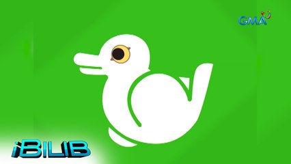 iBilib: Can you guess this animal?