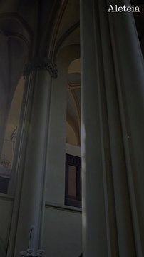 Na Santa Igreja tudo pertence ao amor, vive no amor, é feito por amor e vem do amor