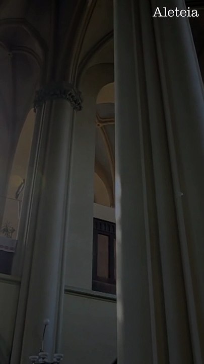 Na Santa Igreja tudo pertence ao amor, vive no amor, é feito por amor e vem do amor