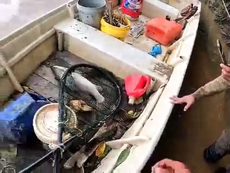 hasil pukat ikan disungai