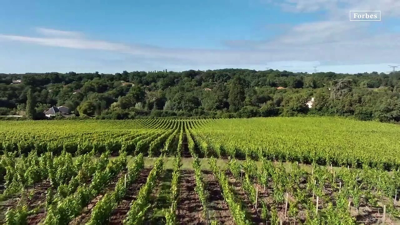 La excepcional reinvención del mejor champagne