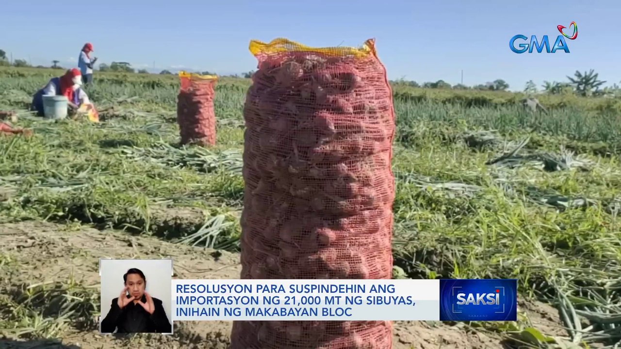 1,200 metric tons ng imported na sibuyas, nasa bansa na | Saksi