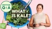 What You Need to Know About  Kale