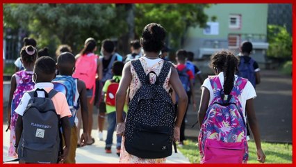 Le Talk : Revivez l'émission du  lundi 23 janvier 2023