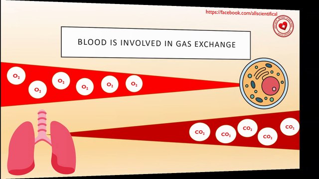 Blood Types: Classification Systems, Transfusion Compatibility