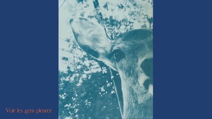 La Grande Sophie - Voir les gens pleurer