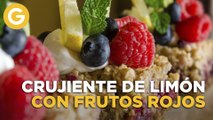 CRUJIENTE DE LIMON CON FRUTOS ROJOS | Paulina Abascal  | El Gourmet