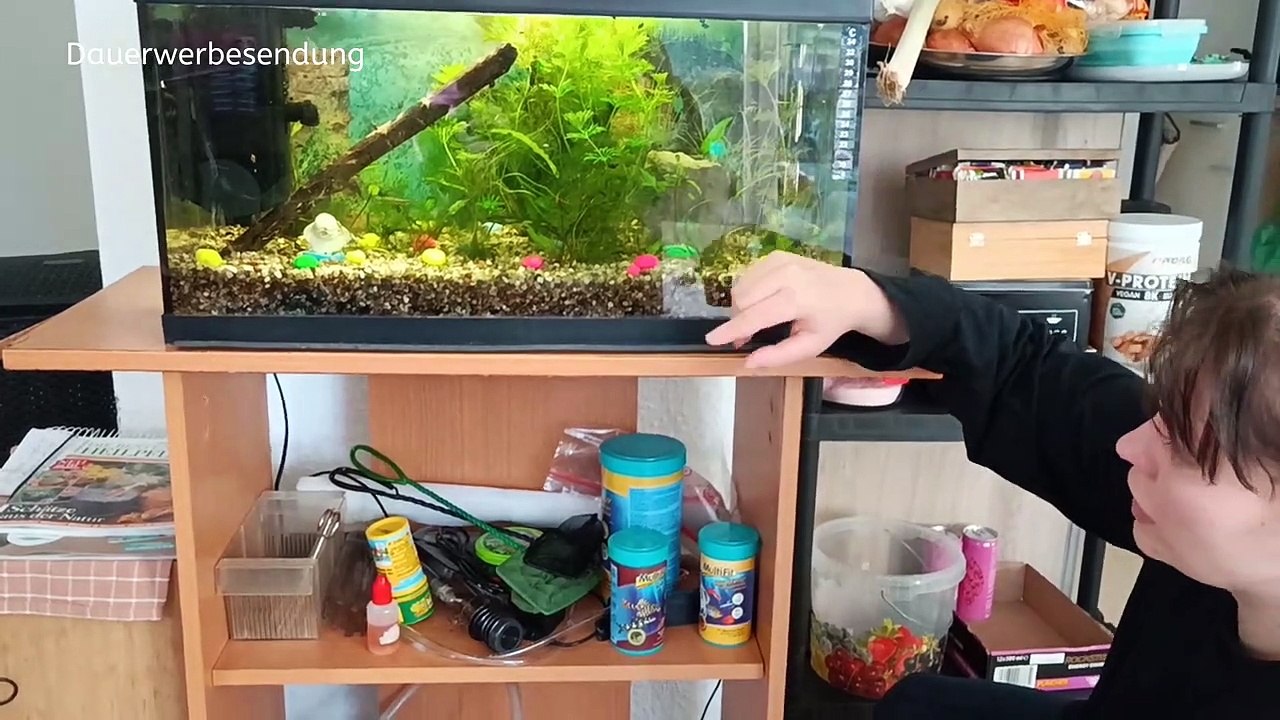 #4 Christinas Aquarium _ Vlogs _ Multi Kulti for Ever