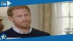 Prince Harry : Netflix en colère après la publication de ses Mémoires, le mari de Meghan Markle sous