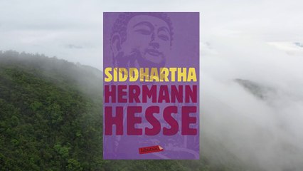 Siddhartha - Hermann Hesse 11/12