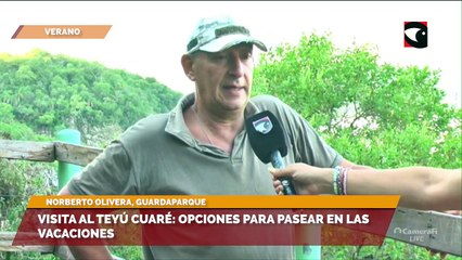 Visita al Teyú Cuaré  opciones para pasear en las vacaciones
