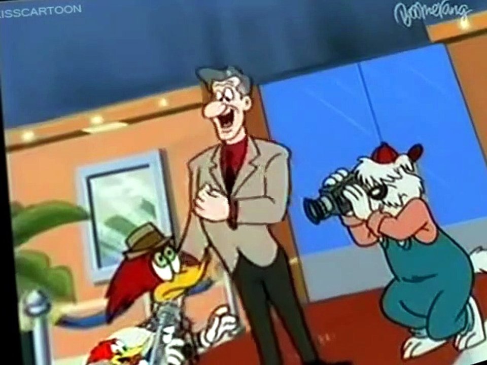 The New Woody Woodpecker Show The New Woody Woodpecker Show S02 E014 – Hooray for Holly-Woody