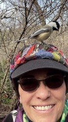 Beautiful Birds Befriending Bystanders