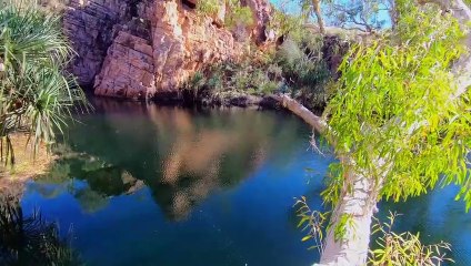 Red tape kills wilderness sanctuary's dreams | January 24, 2023 | Katherine Times