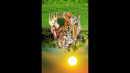 Neture popular #popular #NYTMEDITATION #neture