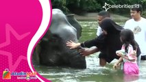 Seru! Menikmati Wisata Alam dengan Memandikan Gajah