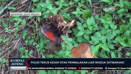 Polisi Terus Kejar Otak Pembalakan Liar Waduk Jatibarang