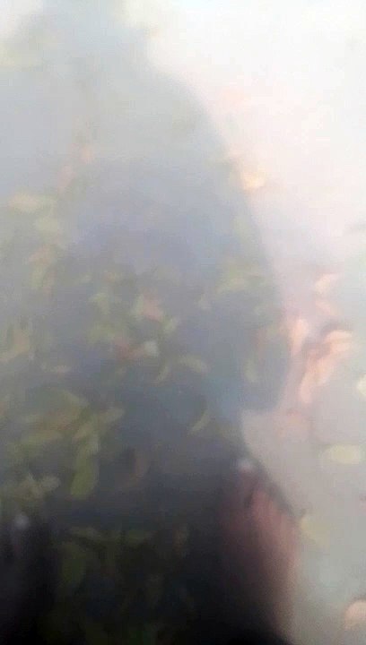 VID_20230124_100854