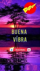 Cuando Víbras Alto #shorts