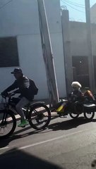 Motorcycle Riding Doggo