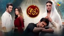 Ibn-e-Hawwa - Episode 19 [----] 18th June 2022  - HUM TV