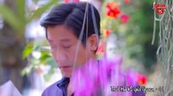 Phim trái tim sắt đá tập 1