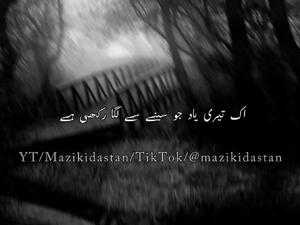 Hum Ne |  Duniya | Mein Ek Alag Duniya |  Bana |  Rakhi Hai  Urdu Shayari Viral Poetry| Status