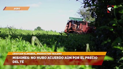 Misiones: No hubo acuerdo aún por el precio del té