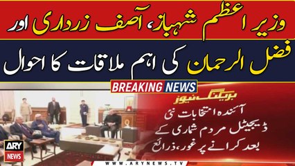 PM Shehbaz, Asif Zardari, Fazl ur Rehman take up political issues in meeting