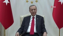 Cumhurbaşkanı Erdoğan, Sırbistan Başbakan Birinci Yardımcısı ve Dışişleri Bakanı Dacic'i kabul etti