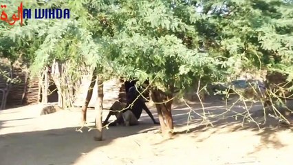 Tchad : un homme âgé de 80 ans lance un appel à l'aide pour des soins médicaux