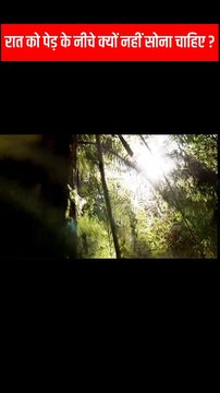 Raat ko pedo ke niche kyun nahi Sona chahiye? Why not to sleep under tree in night? Why it is not allowed to sleep under tree at night?