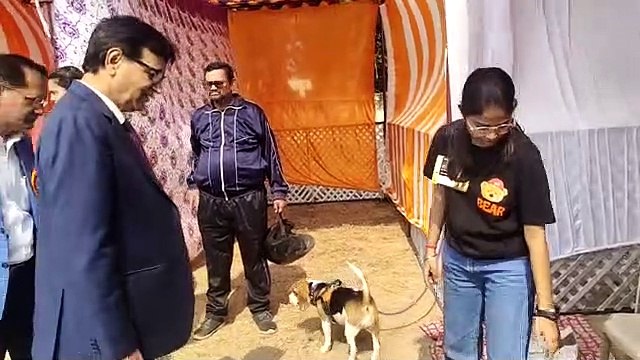 श्वानों ने किया केटवॉक, दिखाए करतब