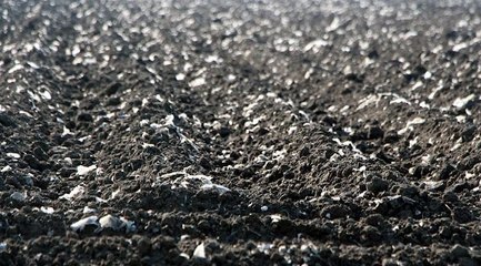 Mikroplastiğin topraktaki yolculuğunda gıda riski uyarısı