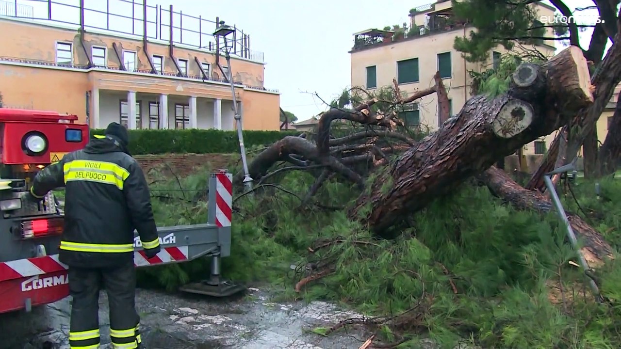 Von Mallorca, über Italien und den Balkan bis nach Kärnten: Starker Schneefall in Teilen Europas