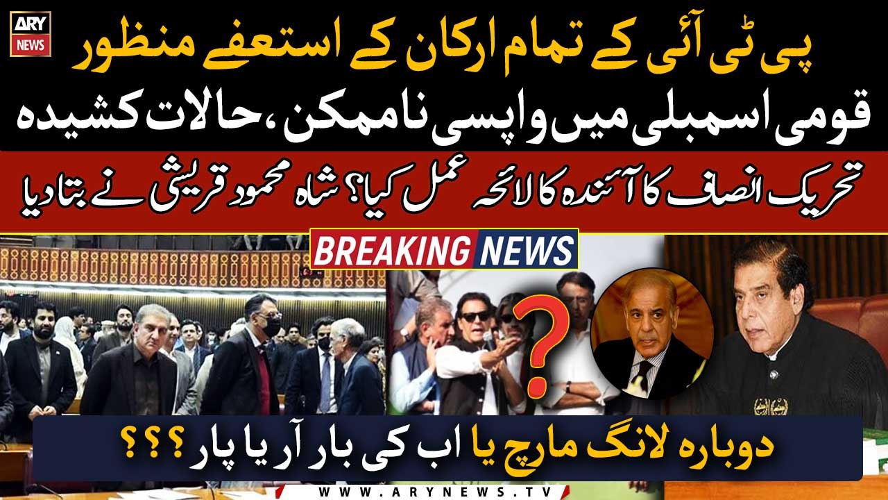 Shah Mahmood Qureshi comments over 'NA Speaker...