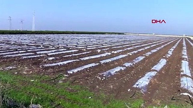 Topraktaki mikroplastik miktarını inceleyen Gündoğdu: Tarımda plastik kullanımı son 15 yılda çok arttı; gıda güvenliği açısından risk teşkil ediyor