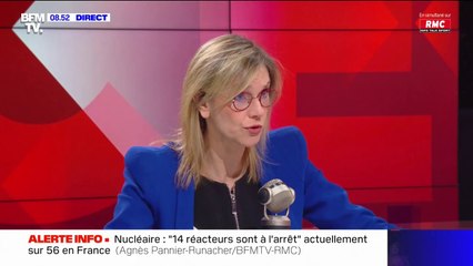 Agnès Pannier-Runacher: "Ceux qui vous disent qu'on peut sortir du marché européen sont des plaisantins"