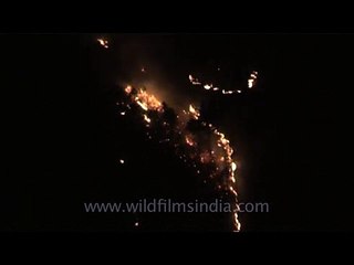 Fire raging across Nainital's mountains!