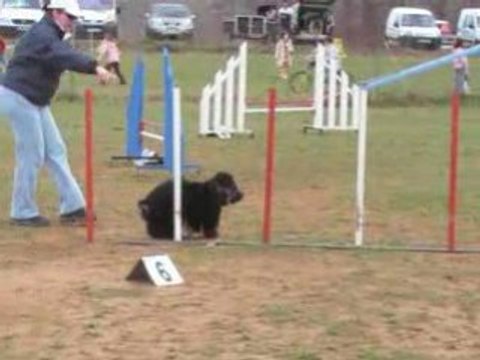 MOV053-Agility CArsan -2008-03- Jumping éliminé