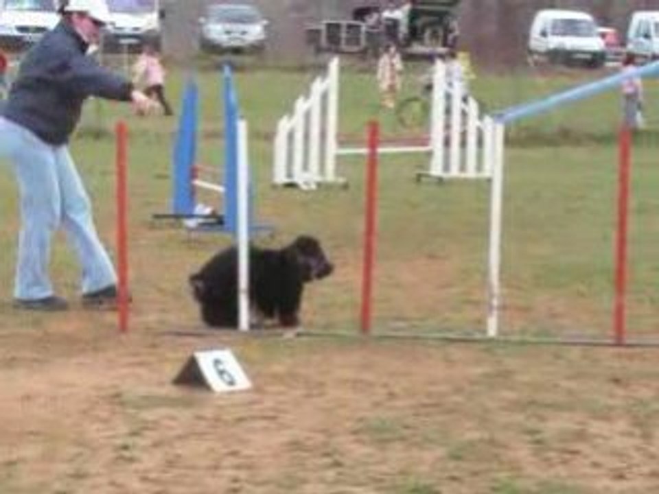 MOV053-Agility CArsan -2008-03- Jumping éliminé