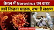Kerala में Norovirus ने बढ़ाई टेंशन, कैसे फैलती है ये बीमारी जानें सबकुछ | वनइंडिया हिंदी