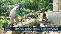 Seorang Warga Tewas Tertimpa Pohon Tumbang Saat Angin Kencang