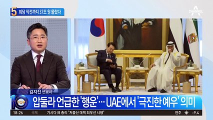 정상회담 직전까지…UAE 37조 원 투자 몰랐다