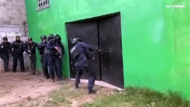 В Мексике обнаружена тайная могила под танцевальным залом