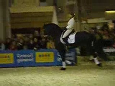 frisons salon du cheval 2007