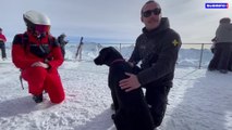 Salto, un chien d’avalanche chargé de retrouver des personnes ensevelies sous la neige