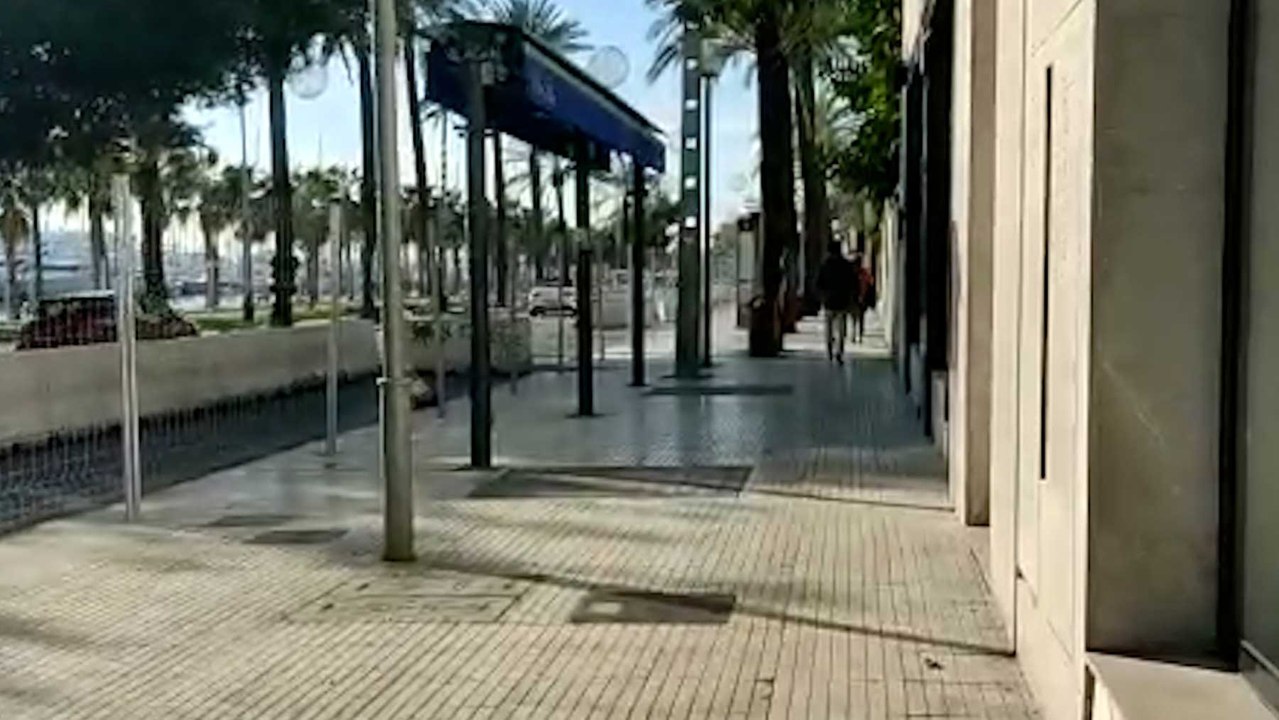 Las terrazas desaparecen de un Paseo Marítimo de Palma que estará dos años 'patas arriba'