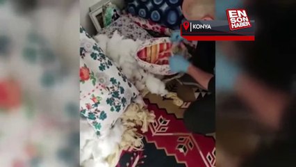 Konya’da kadınların kaldığı evdeki yastıktan eroin çıktı