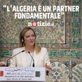 Meloni in visita in Algeria: 